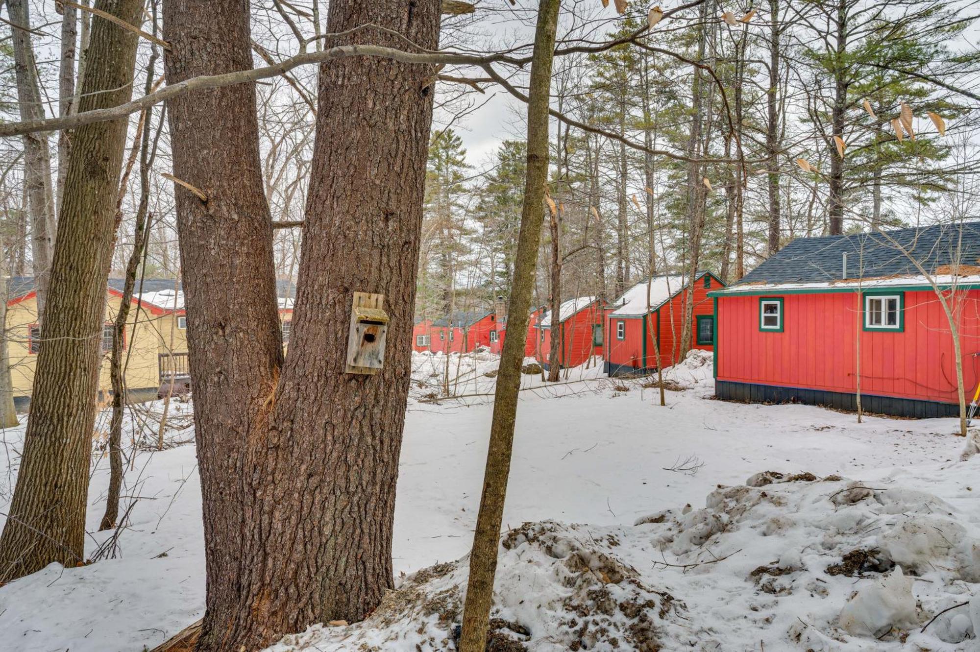 Cozy Laconia Studio With Pool Access - 2 Mi To Lake! 아파트 외부 사진